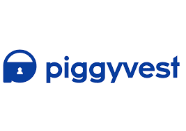 Best Investments in Nigeria piggy vest