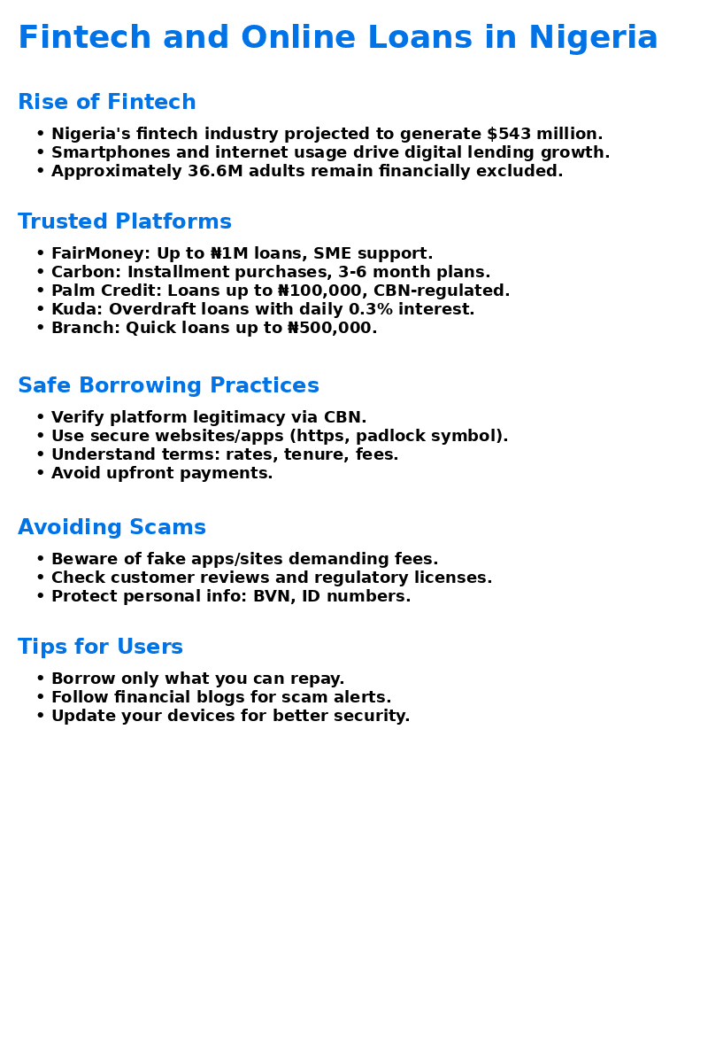 Fintech Online Loans Nigeria Infographic