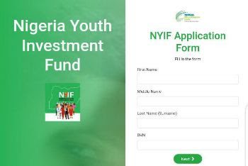 Step-by-Step Guide to Applying for NYIF Loan on the Application Portal