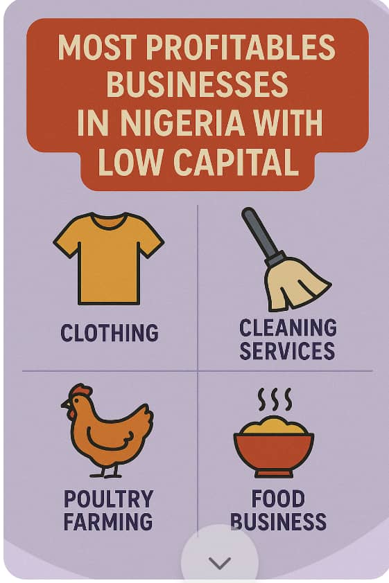 Most Profitable Businesses in Nigeria with Low Capital