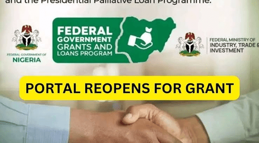 What are the types of federal government grant loans in Nigeria?